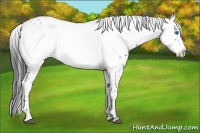Horse Color:Black Frame 