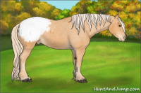 Horse Color:Palomino Sabino Snowcap 
