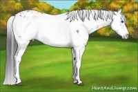 Horse Color:Black Frame 