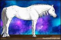Horse Color:Liver Red Roan Frame 