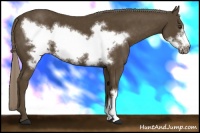 Horse Color:Chocolate Palomino Frame 