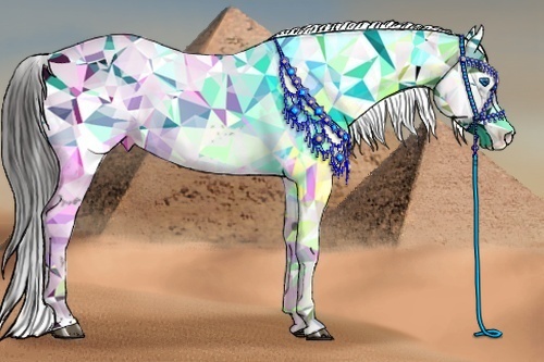 Horse Color: Liver Chestnut Frame 