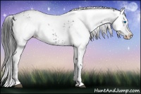 Horse Color:Black Frame 