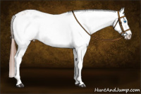 Horse Color:Liver Chestnut Frame 