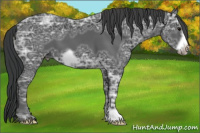 Horse Color:Black Ice Frame 