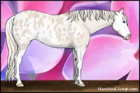 Horse Color:Smoky Creme Sabino Splash Appaloosa 