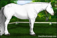 Horse Color:Black Frame 