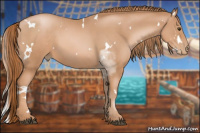 Horse Color:White Spotted Liver Chestnut Pearl 