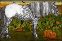 Horse Color:Liver Chestnut Appaloosa