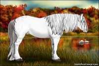 Horse Color:Liver Chestnut Frame 