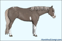 Horse Color:Silver Black Sabino Splash Tobiano 