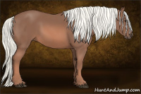 Horse Color:Liver Chestnut Mushroom 
