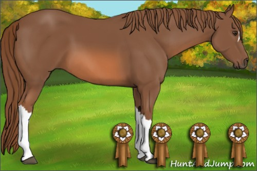 Horse Color: Unknown 