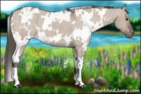 Horse Color:White Spotted Liver Red Dun Blanket 
