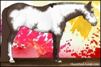Horse Color:Liver Chestnut Frame