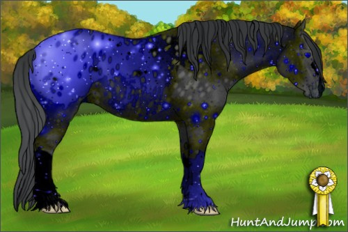 Horse Color: ERROR: UNKNOWN ANOMALY