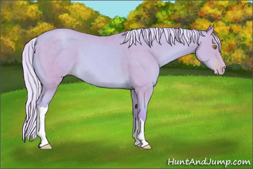 Horse Color: Watercolor Silver Amber Champagne 