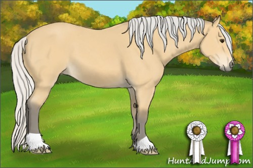 Horse Color: Silver Buckskin 
