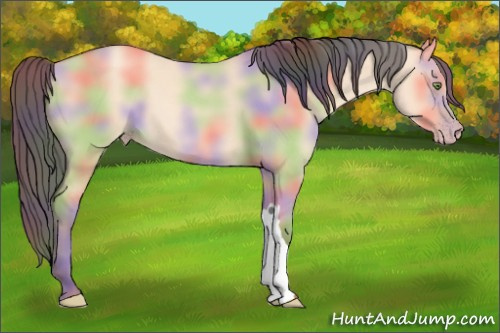 Horse Color: Nacre Amber Champagne Dun 