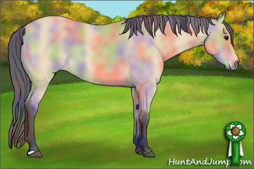 Horse Color: Nacre Buckskin 