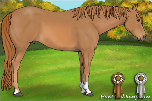 Horse Color: Chestnut Tobiano 