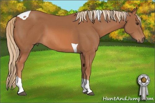 Horse Color: Chestnut Tobiano 