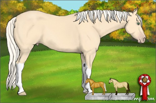Horse Color: Gold Cream Champagne 