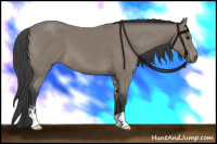 Horse Color:Black Sabino 