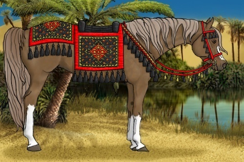 Horse Color: Chocolate Palomino 