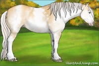 Horse Color:Gray White Spotted Silver Amber Cream Champagne Dun 