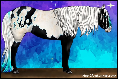 Horse Color: ERROR: UNKNOWN ANOMALY