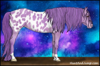 Horse Color:Watercolor Sable Champagne Appaloosa 