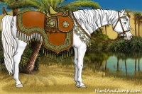 Horse Color:Gray Silver Amber Cream Champagne Roan Dun Splash Tobiano Frame Appaloosa Rabicano