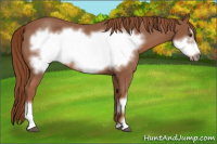 Horse Color:Liver Red Roan Frame