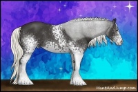 Horse Color:White Spotted Liver Red Roan 