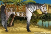 Horse Color:Gray Bay 
