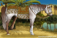 Horse Color:Gray Chestnut 