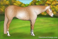 Horse Color:Gray Palomino Sabino