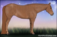 Horse Color:Chestnut  Brindle