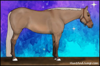 Horse Color:Silver Bay Dun 