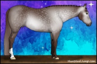 Horse Color:Gray Chestnut 