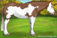 Horse Color:Chestnut Splash Frame 