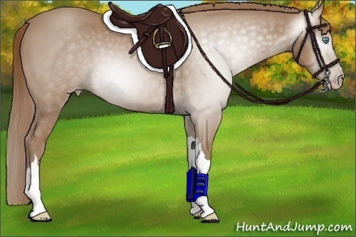 Horse Color:Gray Smoky Creme 