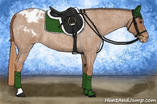 Horse Color:Red Roan Appaloosa Rabicano 