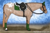Horse Color:Red Roan Blanket Rabicano