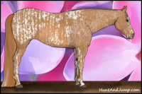 Horse Color:Bay Splash Tobiano Blanket  Brindle