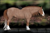 Horse Color:Red Roan Splash 