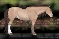 Horse Color:Amber Champagne Rabicano 
