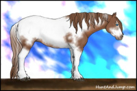 Horse Color:Liver Chestnut Tobiano Frame 