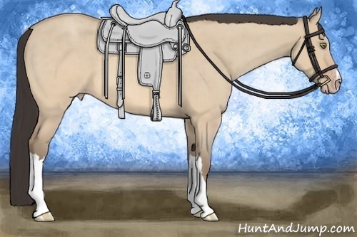 Horse Color:Sable Champagne Roan Dun 
